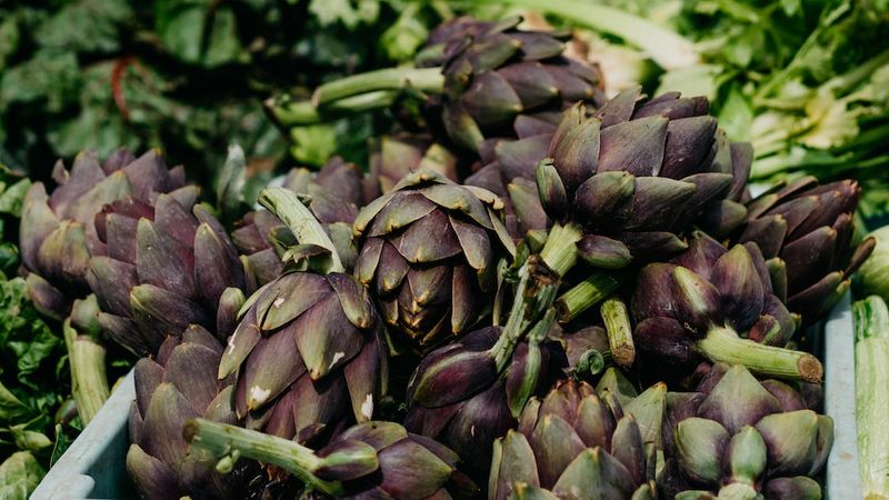 3 legume mai puțin cunoscute pe care ar trebui să le incluzi în dieta ta