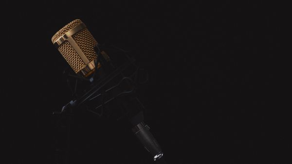 Motivul sfâșietor pentru care se grăbeau tinerii artiști care au murit în accidentul din Suceava