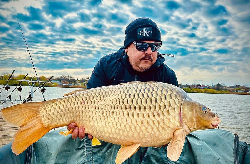 Mihai Bobonete l-a țepuit pe Gabriel Cotabiță