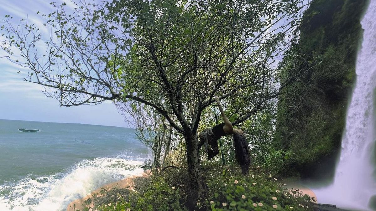 EMAA - Universul rar