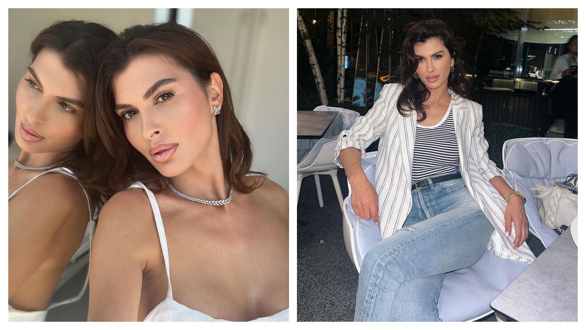 Mădălina Pamfile, probleme cu legea