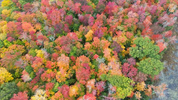 Meteorologii anunţă temperaturi peste cele specifice şi în prima săptămână din noiembrie