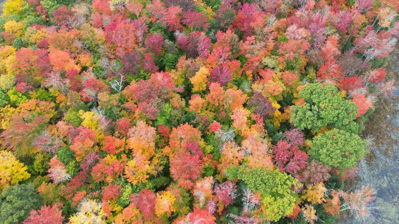 Meteorologii anunţă temperaturi peste cele specifice şi &icirc;n prima săptăm&acirc;nă din noiembrie