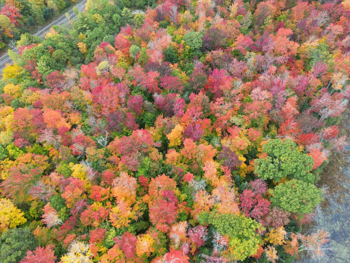Cum va fi vremea in prima saptamana din noimbrie