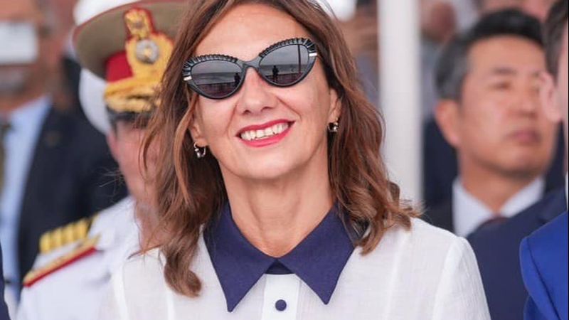 Ce afaceri are Carmen Iohannis  