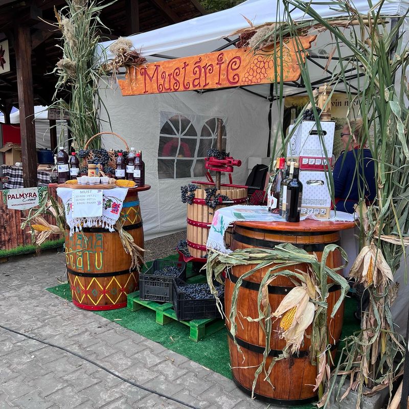 Ce faci în weekend. Evenimente pentru perioada 13 - 15 octombrie 2023 în București