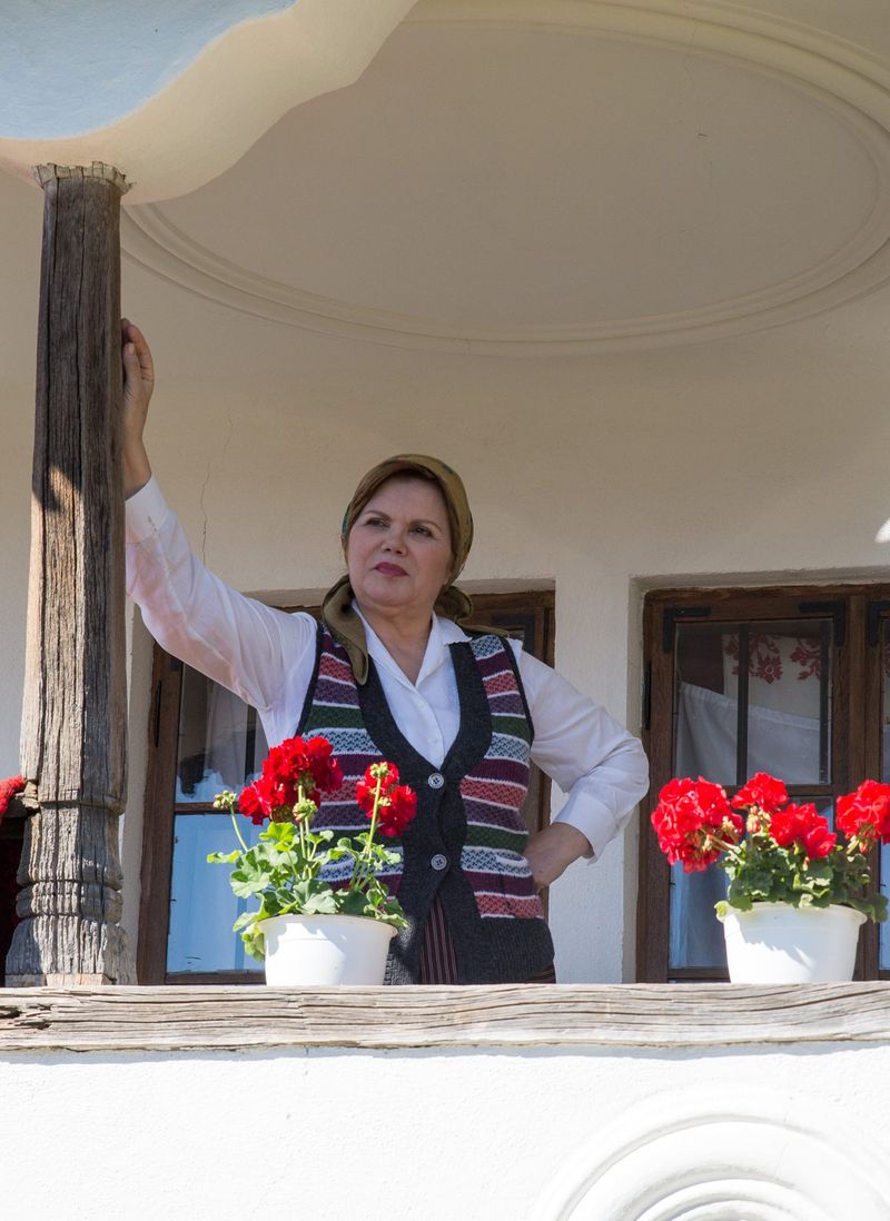  Natașa Raab, carieră artistică impresionantă