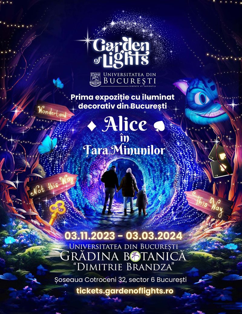 Principalele evenimente din București în luna noiembrie 2023: Concerte, piese de teatru și festivaluri