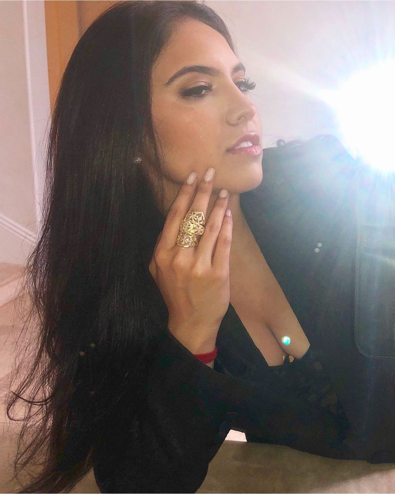 Al Pacino și iubita sa, Noor Alfallah, au ajuns la un acord în ceea ce privește custodia fiului lor.