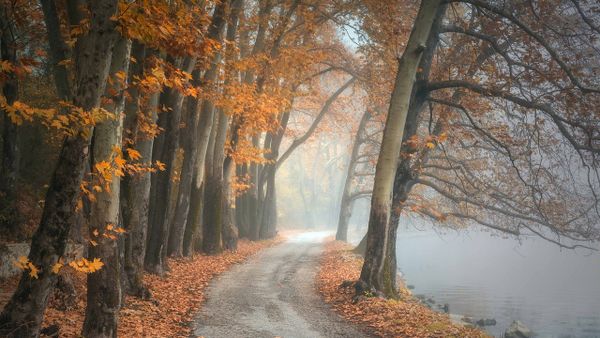 Meteorologii anunţă că şi în luna noiembrie temperaturile vor fi mai ridicate decât cele obişnuite