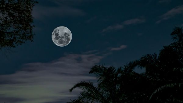 Câte eclipse de lună vom avea în 2024?