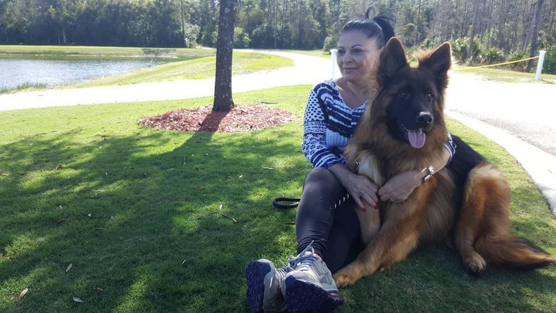 Motivul pentru care Elena Cârstea nu vine în România