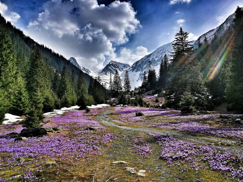 Cele mai frumoase cabane din România: Peisaje de vis