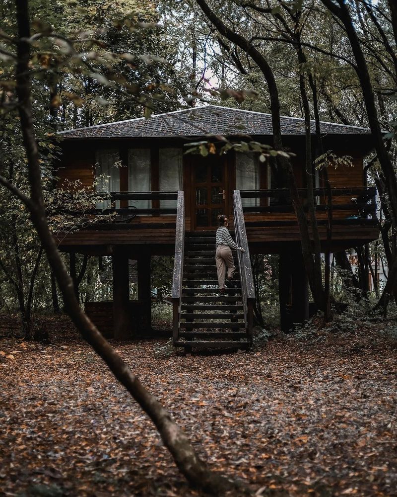 Cele mai frumoase cabane din România: Peisaje de vis