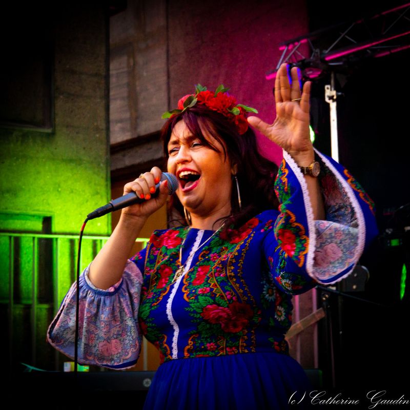 Rona Hartner bani incasati la concert