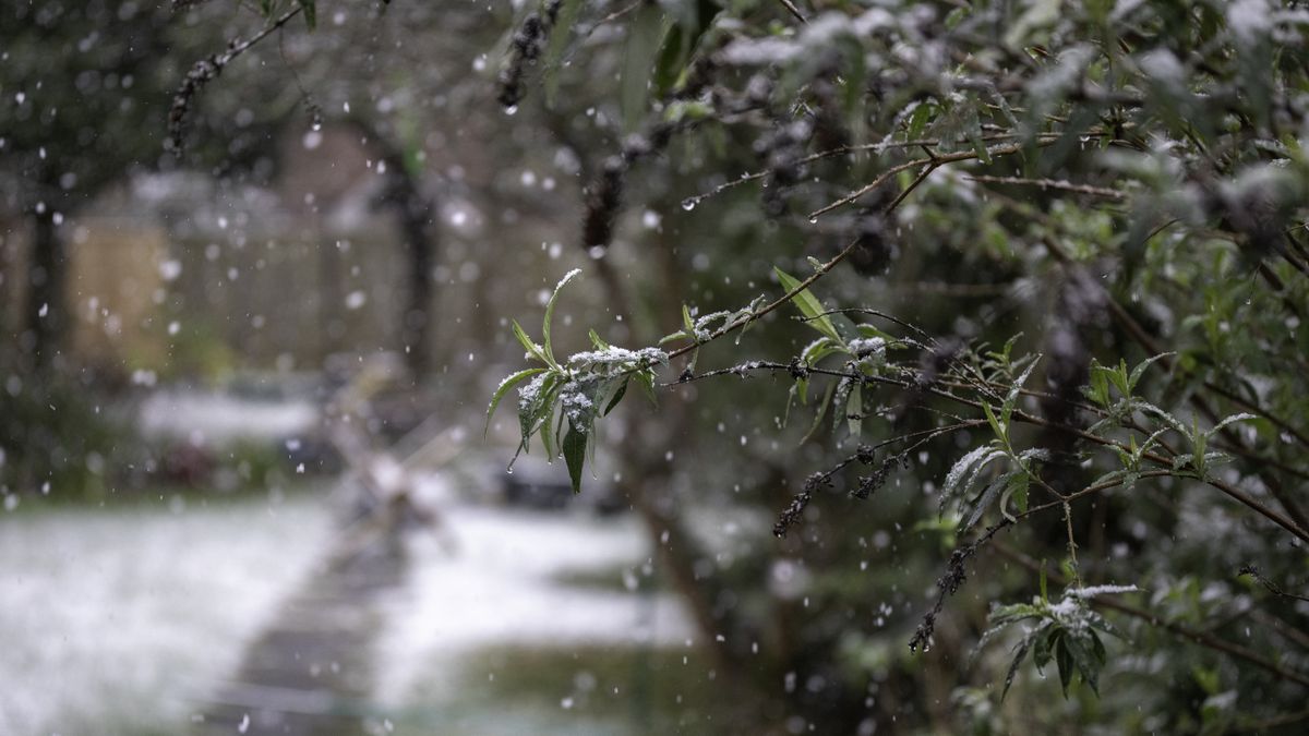 Meteorologii au emis avertizări cod galben și portocaliu de vreme rea