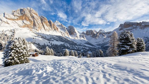 Vin ninsorile în România: Un ciclon polar se abate asupra țării. Prognoza meteo pentru următoarele zile