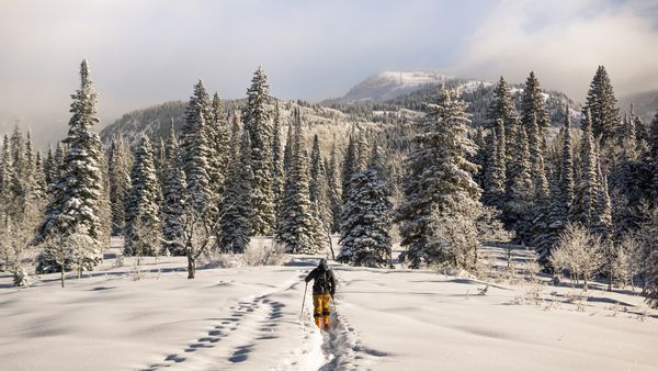 C&acirc;t costă să schiezi pe Transalpina Ski Resort și pe părtiile de la R&acirc;nca