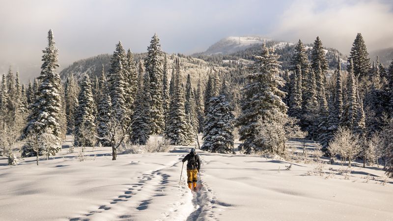 C&acirc;t costă să schiezi pe Transalpina Ski Resort și pe părtiile de la R&acirc;nca