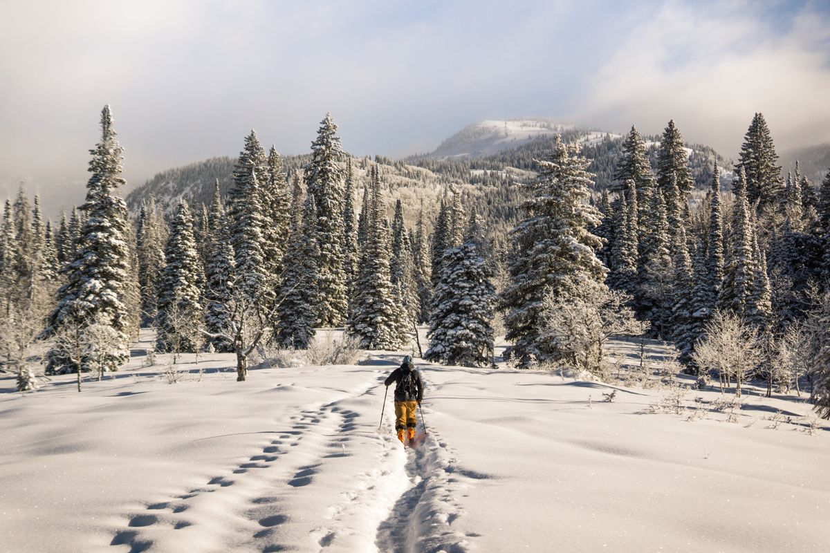 Cât costă să schiezi pe Transalpina Ski Resort și pe părtiile de la Rânca