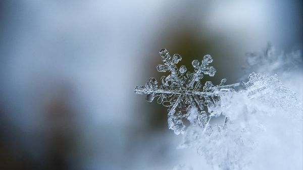 Scăpăm sau nu de ninsori? Cum va fi vremea &icirc;n weekendul 8-10 decembrie 2023