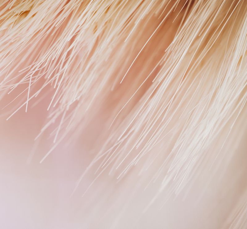 Iată ce reprezintă Peach Fuzz și de ce definește cel mai bine anul 2024