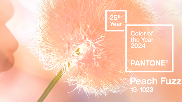 Care este culoarea anului 2024? Peach Fuzz pune accent pe importanţa sănătăţii şi a bunăstării pentru minte, trup şi suflet