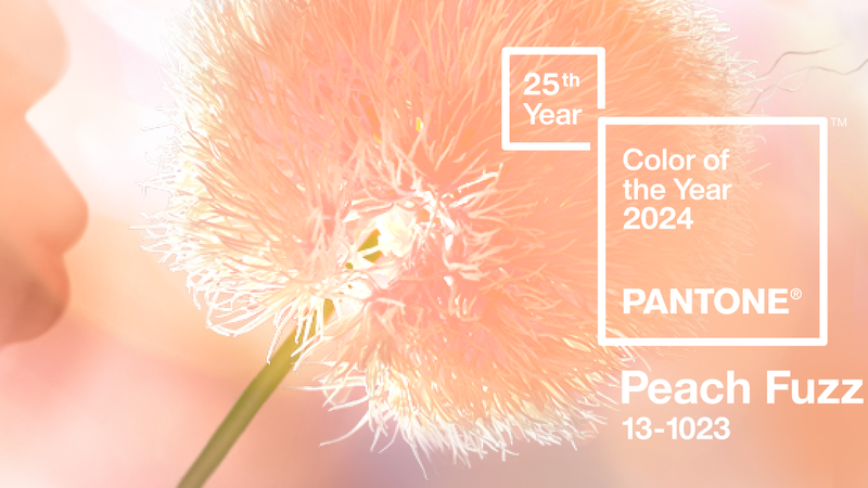 Care este culoarea anului 2024? Peach Fuzz pune accent pe importanţa sănătăţii şi a bunăstării pentru minte, trup şi suflet