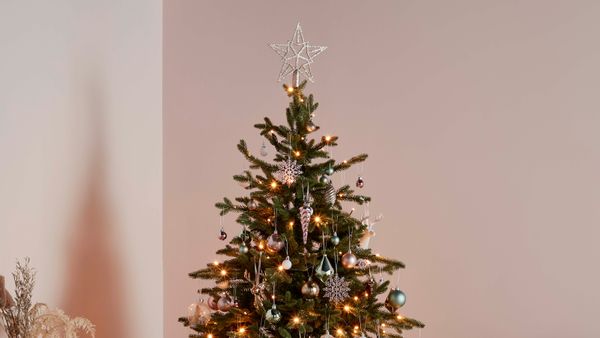 Crăciunul rom&acirc;nilor &icirc;n numere