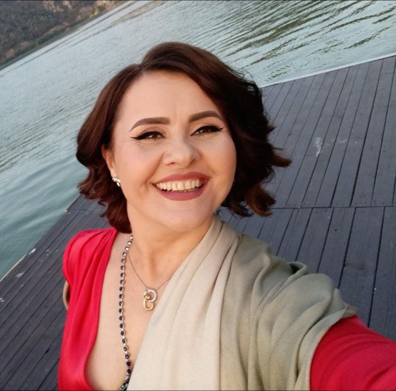 Niculina Stoican demisie