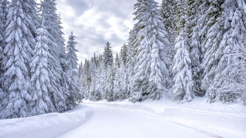 Gerul cuprinde Rom&acirc;nia! &Icirc;n ce zonă vor fi și -21 de grade
