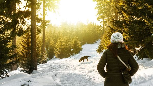 C&acirc;nd scăpăm de ger? Vremea se &icirc;ncălzește &icirc;ncep&acirc;nd cu această dată