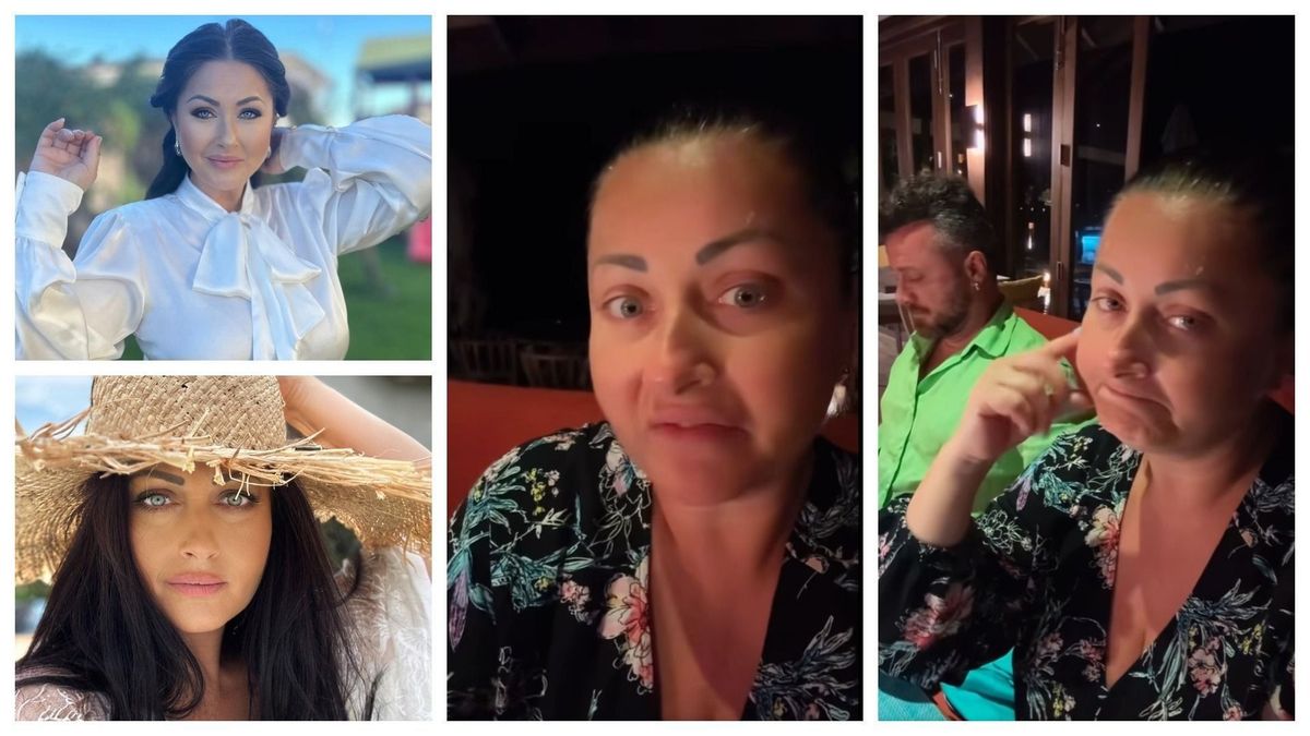 Gabriela Cristea mesaj 