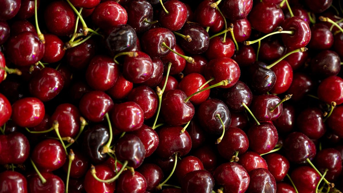 Cât a ajuns să coste un kilogram de cireșe în piețe? 