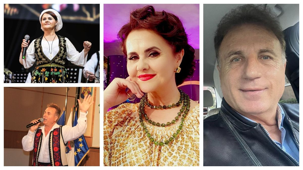 Niculina Stoican Constantin Enceanu gest scandal