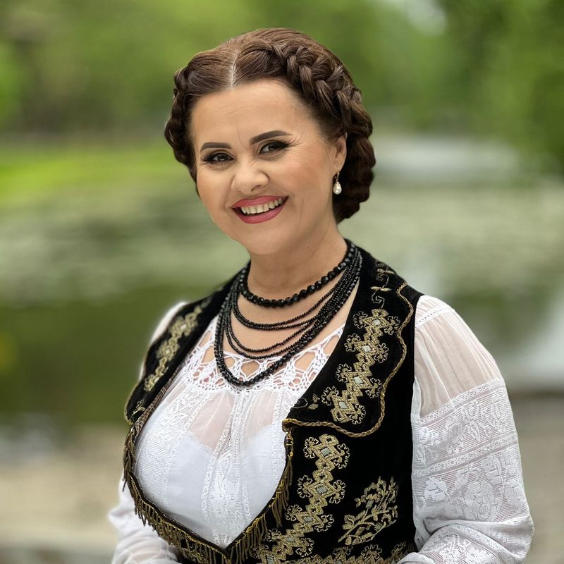 Niculina Stoican Constantin Enceanu gest scandal