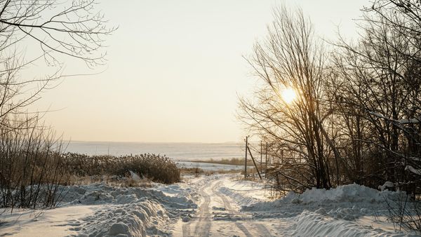 Prognoza meteo: Vine primăvara! Se anunță maxime și de 20 de grade