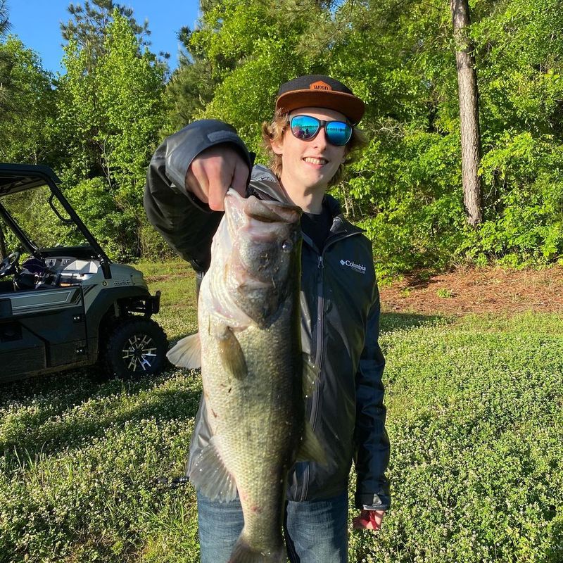 El este Dylan Paul, fiul Nadiei Comăneci 