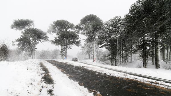 Cod galben și cod portocaliu de viscol, ploi și vânt puternic! Care sunt zonele afectate și cum va fi vremea săptămâna aceasta?