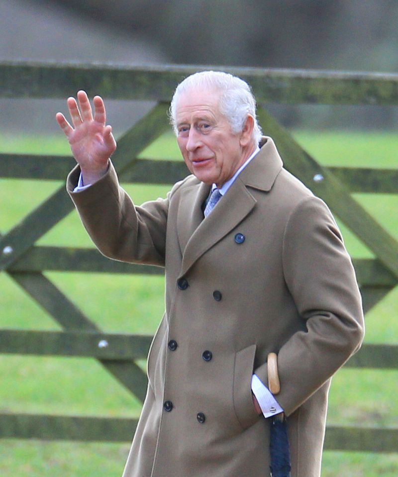 Regele Charles, diagnosticat cu cancer