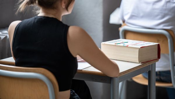 Elevii de clasa a VIII-a susţin proba scrisă la Matematică &icirc;n cadrul simulării Evaluării Naţionale. La ce ora se publică subiectele si baremele
