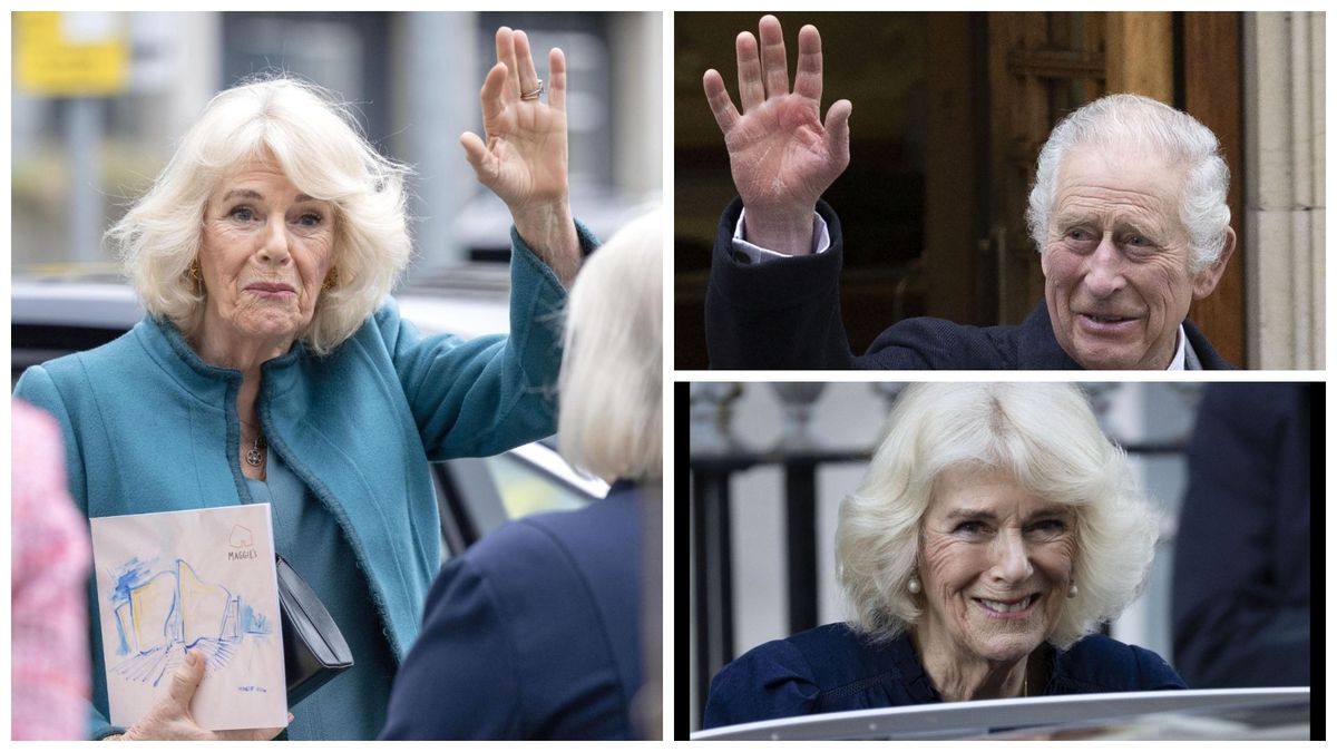 Ce se va întâmpla cu Camilla Parker dacă regele Charles va muri de cancer