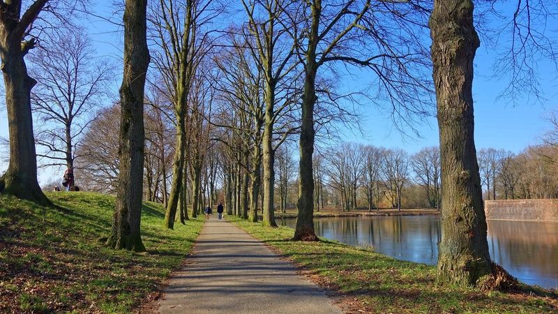 Vremea &icirc;n weekendul 10-11 februarie 2024: Temperaturile maxime &icirc;n București și marile orașe