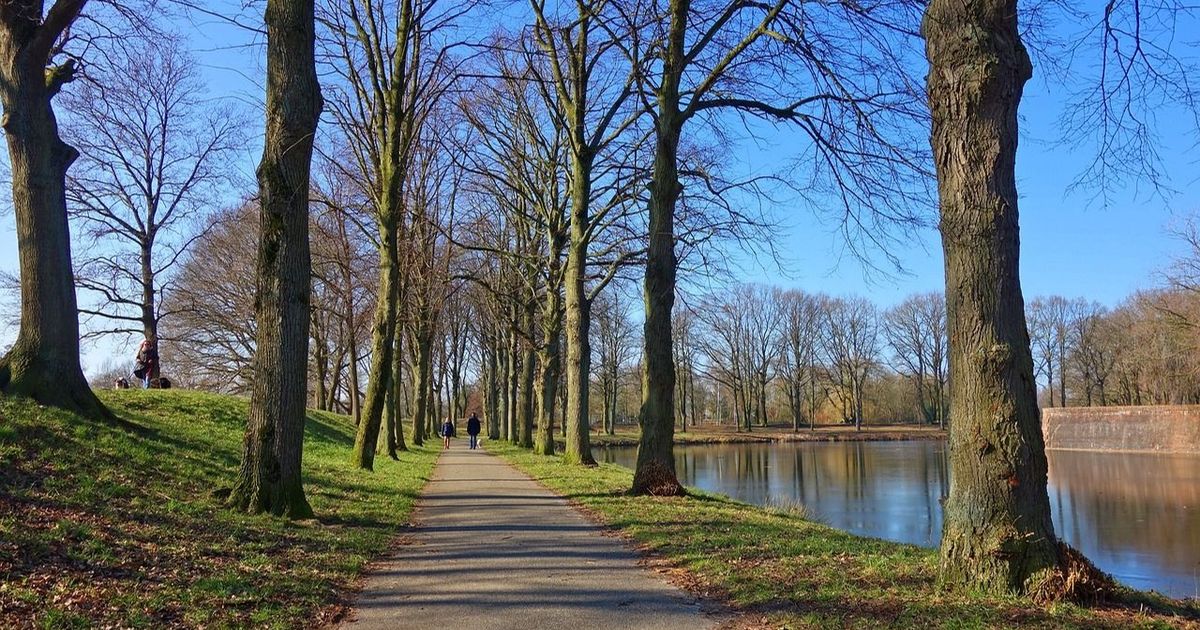 Prognoza meteo pentru weekendul 10-11 februarie 2024: Cum va fi vremea în orașele mari din România