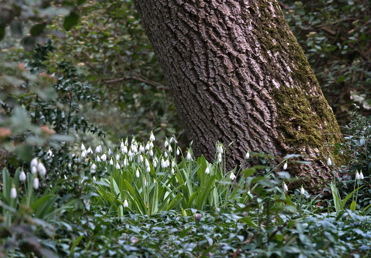 Vreme calda pentru aceasta perioada