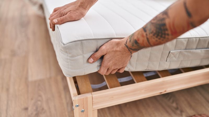 Cum scăpăm de ploșnite? Soluții pe care le putem aplica și modalități de prevenire a unei posibile invazii