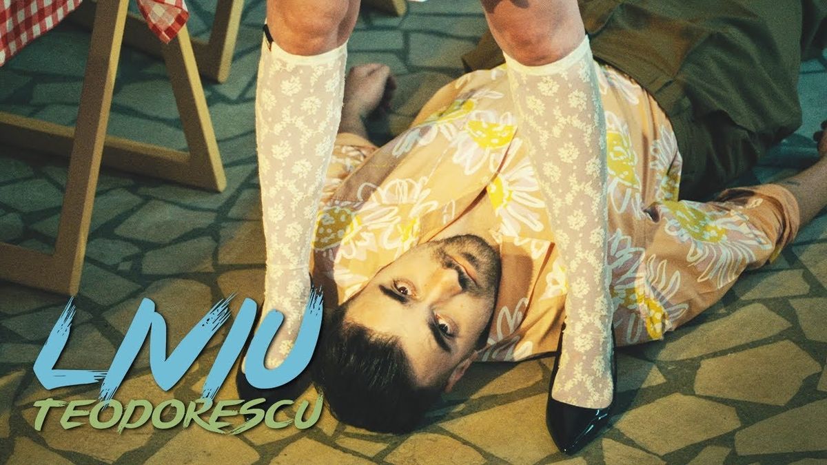 Liviu Teodorescu - Indiferența