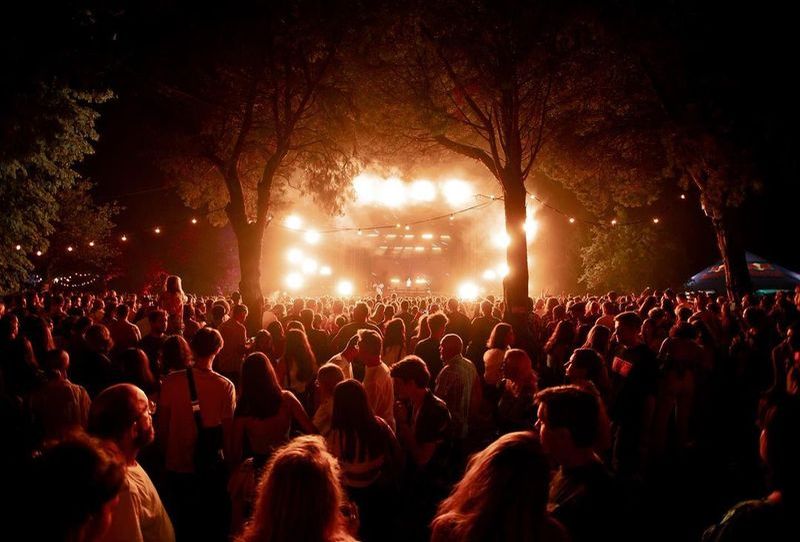 Festivalul Summer Well