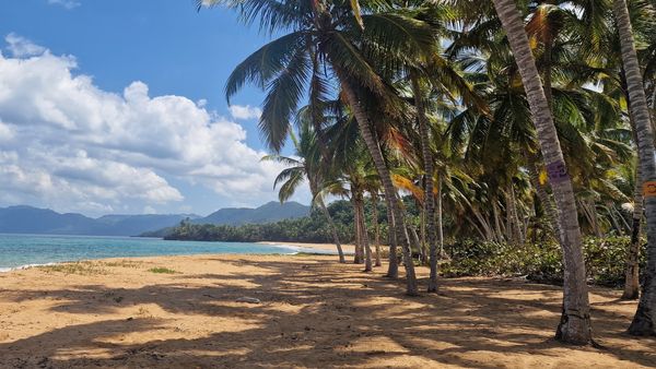 Ce nu au voie concurenții super show-ului “Insula de 1 milion” să ia in bagaje la plecarea spre Republica Dominicană