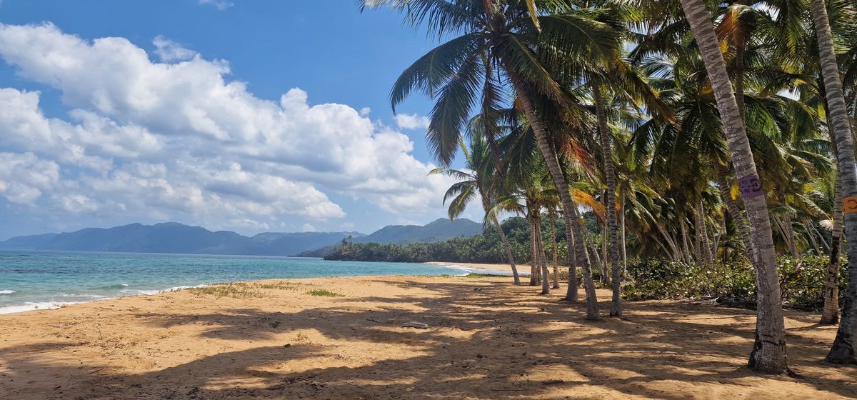 Insula de 1 milion la Kanal D